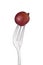 Red Globe grape held by a fork