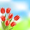 Red glossy tulips on summer nature background