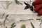 Red gloves and holly on a wooden surface