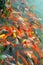 Red and gold fishes