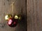 Red and Gold Jingle Bells hanging on a rustic wooden wall with snow effect