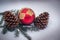 Red Golden Christmas Ball with Cones and Spruce Branch