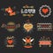 Red and golden Valentines day design elements set on black background