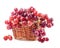 Red grape in basket