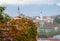 Red grape leaves with panorama view of Kranj, Slovenia