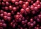 Red grape texture top view, wine package background, design element