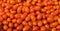 Red grape tomato background, two clipping paths included