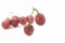 Red grapes or Globe placed on a white background