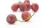 Red grapes or Globe placed on a white background