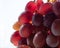 Red grapes on light background