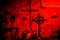 Red grave crosses. Horror Concept