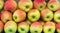 Red and Green Apples stack in a Full Frame Background