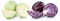 Red and green cabbage sliced slice vegetable isolated