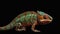 a red-green chameleon looking at the camera from side angle on the black background