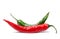 Red green chili pepper isolated