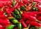 Red and green chilli peppers. Close up of pile.