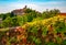 Red and green grape leaves and panoramic view of Saint-Paul-de-Vence town in Provence, France