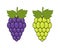 Red and green grapes on white background, grape types set. Logo design, vector illustration. Wine vector logo art.