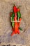 Red and green hot chili pepper in a rustic style. Vintage style
