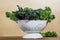 Red and green kale in colander