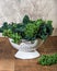 Red and green kale in colander