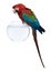 Red-and-green Macaw perching on empty fish bowl