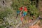 Red And Green Macaws, Ara Chloropterus, Buraco Das Araras, near Bonito, Pantanal, Brazil