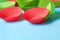 Red and green paper molds for baking muffins scattered on blue desk on kitchen