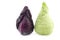 A red and a green pointed cabbage