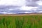 Red green quinoa field plant andean highlands, Bolivia