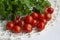 Red and green vegetables, cherry tomatoes and parsley