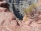 red and grey rocks in the grand canyon