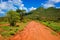 Red ground road, bush with savanna. Tsavo West, Kenya, Africa