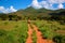 Red ground road, bush with savanna. Tsavo West, Kenya, Africa