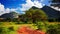 Red ground road, bush with savanna. Tsavo West, Kenya, Africa