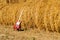 Red guitar telecaster on a straw stack background in a summer day