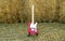 Red guitar telecaster on a straw stack background in a summer day