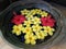 Red Gumamela and Yellow Calachuchi Flowers