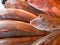 Red gurnard fish presented to customers at a fish mart