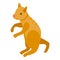 Red hair playful cat icon, isometric style