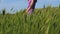 A red-haired girl in a purple dress walks along a path along a field of green grass and spikelets swaying in the wind.