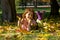 A red-haired girl in rubber boots lies on the yellow leaves in t