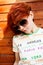 Red-haired girl in sunglasses