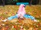 Red-haired smiling girl lies with her legs crossed in a park on a meadow strewn with autumn leaves