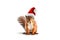 Red-haired squirrel in a Christmas hat is isolated on a white background. Squirrel in Santa hat. Christmas animal