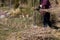 The red-haired woman lifts the cut dry grass onto a pile of straw deposited on the lawn