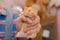 Red hamster domestic rodent pet close-up in hand