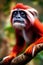Red-handed Tamarin Animal. AI Generated.