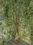 Red handled broom in corner of room with stone and green moss