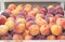Red Haven Peaches in a bin on display in a Farmers Market. Grown in Hood River, Oregon, United States
